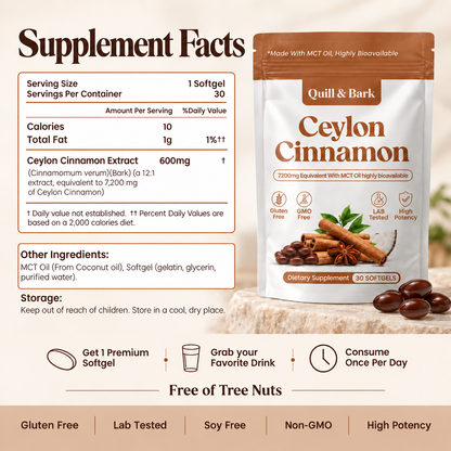 Ceylon Cinnamon 7200mg Equivalent with MCT Oil
